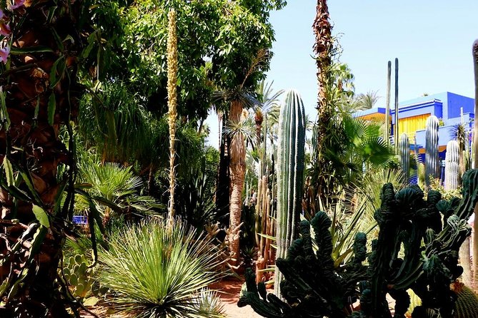 From Agadir: Private Day Trip to Marrakech - Tour Highlights