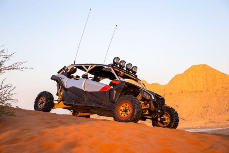 From Agadir: Sahara Desert Buggy Tour With Snack & Transfer - Experience Highlights and Breakfast