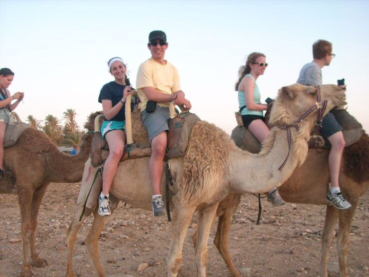 From Agadir: Sahara Desert Buggy Tour With Snack & Transfer - Tour Highlights