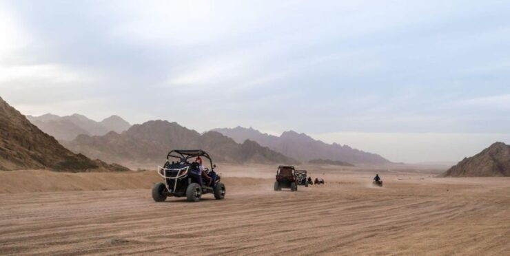 From Agadir: Sahara Desert Buggy Tour With Snack & Transfer - Activity Overview