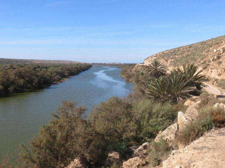 From Agadir: Sous Massa National Park Desert Safari W/Lunch - Experience Highlights