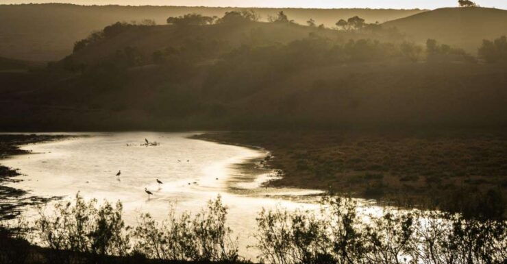 From Agadir: Sous Massa National Park Desert Safari W/Lunch - Activity Details