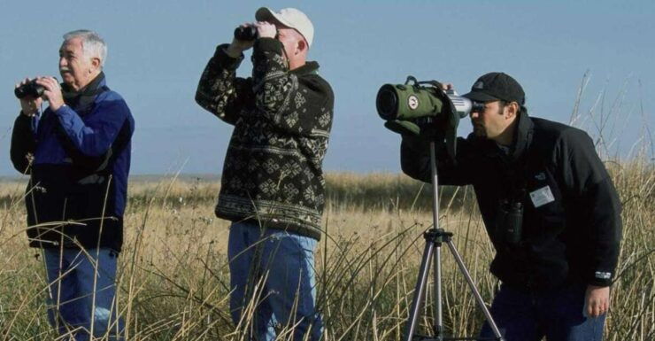 From Agadir: Souss-Massa Park Bird Watching Private Tour - Experience Highlights