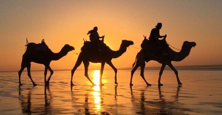 From Agadir: Sunset Camel Ride With BBQ Dinner and Transfer - Sunset Camel Ride Experience