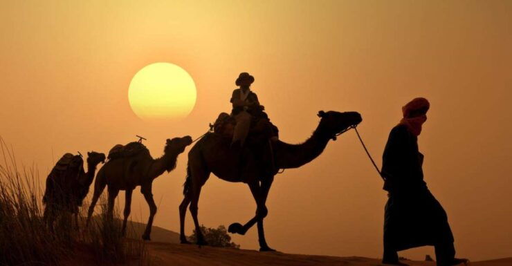 From Agadir/Taghazout: Camel Ride With Tea and Flamingos - Activity Details