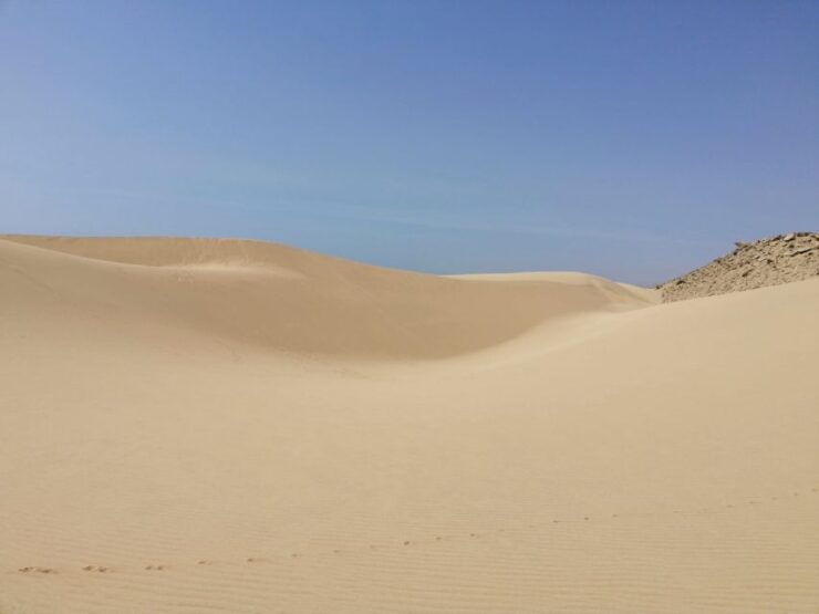 From Agadir/Taghazout: Sahara Sand Dunes With Transfer - Experience Highlights