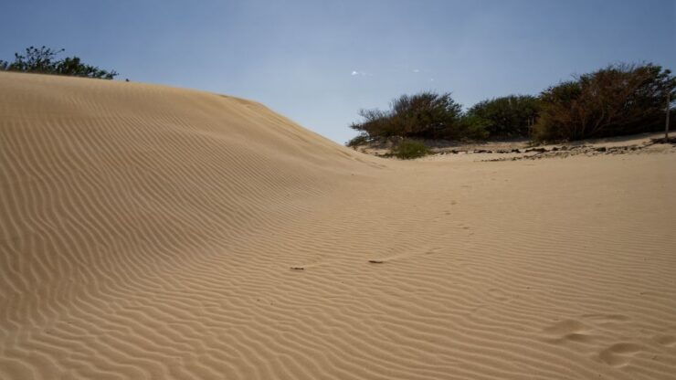 From Agadir/Taghazout: Sahara Sand Dunes With Transfer - Activity Details