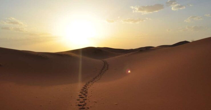 From Agadir/Taghazout: Sahara Sand Dunes With Transfer - Experience Highlights