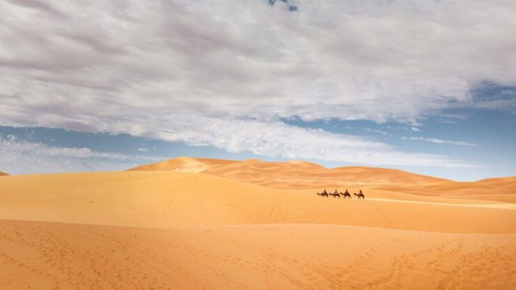 From Agadir/Taghazout: Sahara Sand Dunes With Transfer - Activity Details