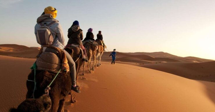 From Agadir/Taghazout: Sahara Sand Dunes With Transfer - Booking Details