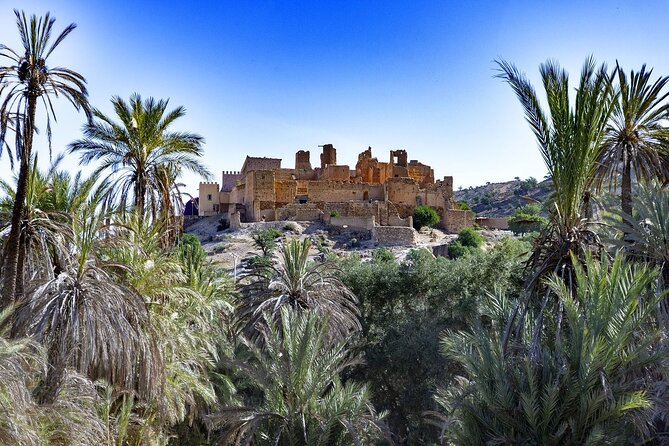 From Agadir & Taghazout: Taroudant & Tiout Day Tour Lunch - Pricing and Booking