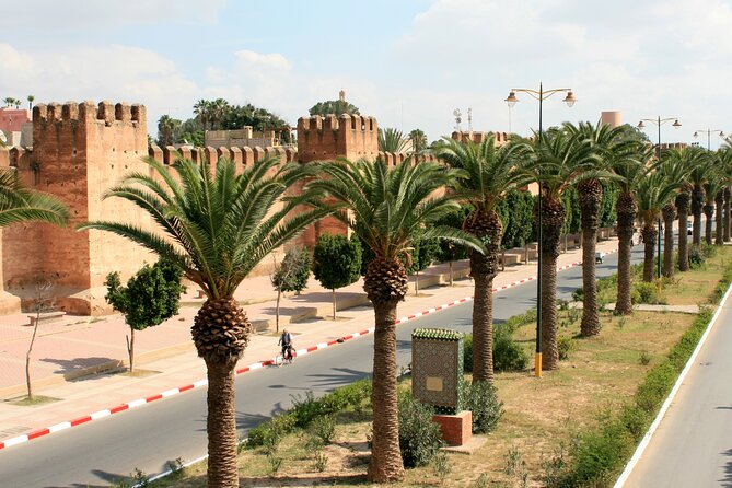 From Agadir & Taghazout: Taroudant & Tiout Day Tour Lunch - Local Culture and Attractions