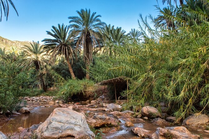 From Agadir/Taghazoute to Paradise Valley 1/2 Day - Booking Requirements