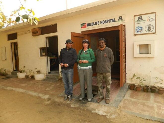 From Agra: Visit to Wildlife SOS Elephant Conservation Trip - Select Participants and Date