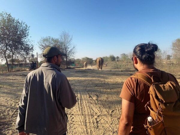 From Agra: Visit to Wildlife SOS Elephant Conservation Trip - Frequently Asked Questions