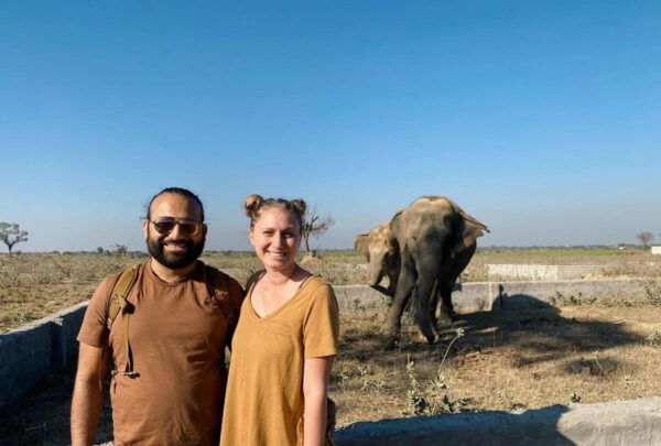 From Agra: Visit to Wildlife SOS Elephant Conservation Trip - The Sum Up