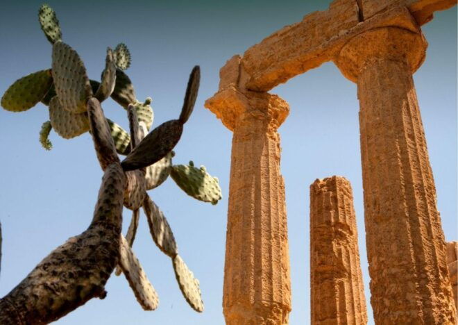 From Agrigento to Taormina: Valley of Temples & Roman Villa - Experience