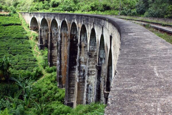 From - Ahungalla / Balapitiya / Ambalangoda Day Trip To Ella - Booking Information and Policies
