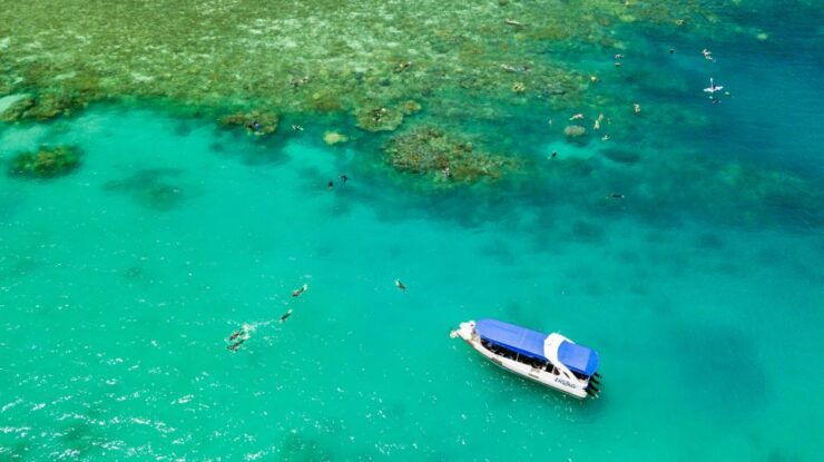 From Airlie Beach: Whitehaven and Chalkies Beaches Day Tour - Itinerary Highlights and Changes