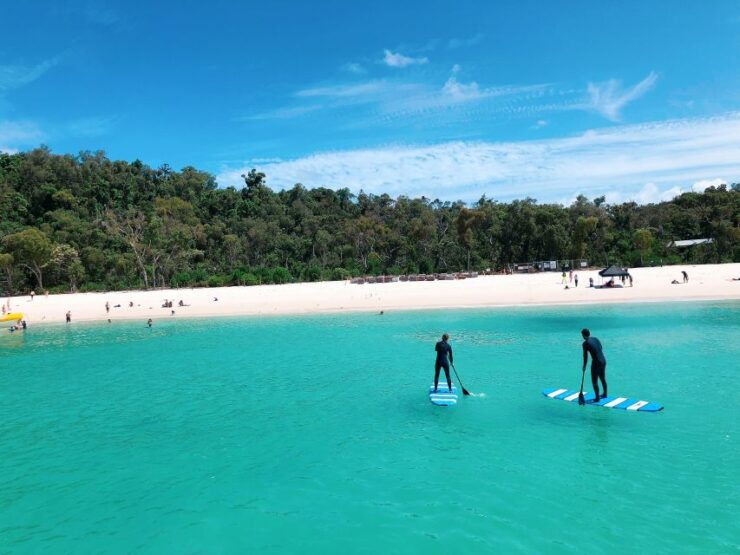 From Airlie Beach: Whitehaven Beach Cruise - Experience Highlights