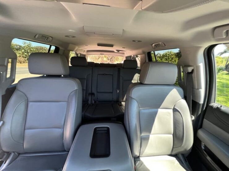 From Airport to Puerto Vallarta: One-Way Transfer by SUV - Vehicle and Comfort