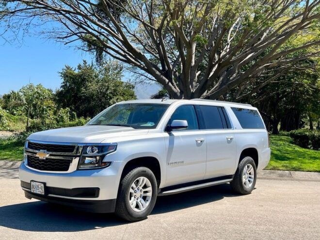 From Airport to Puerto Vallarta: One-Way Transfer by SUV - Driver and Experience
