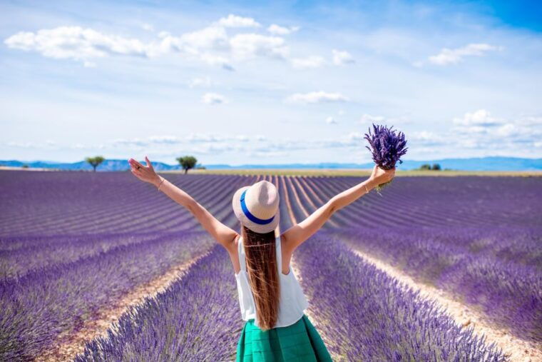 From Aix: Day Trip to Valensole Lavender Fields in Provence - Local Lavender Distillery Visit