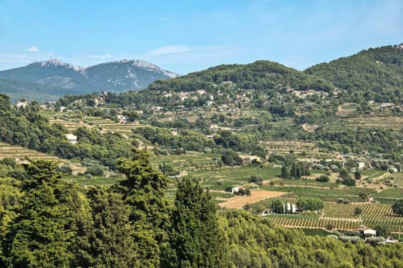From Aix En Provence: Bandol & Cassis Full-Day Wine Tour - Good To Know