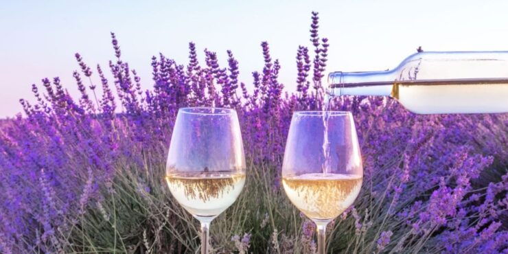 From Aix-En-Provence: Châteauneuf Du Pape Wineries Day Trip - Activity Details