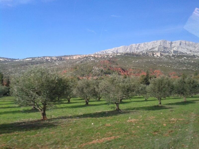 From Aix-en-Provence: Half-day Wine Tour Cezanne Countryside - Itinerary Highlights