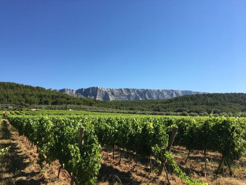 From Aix En Provence: Half-Day Wine Tour in Provence - Itinerary Details