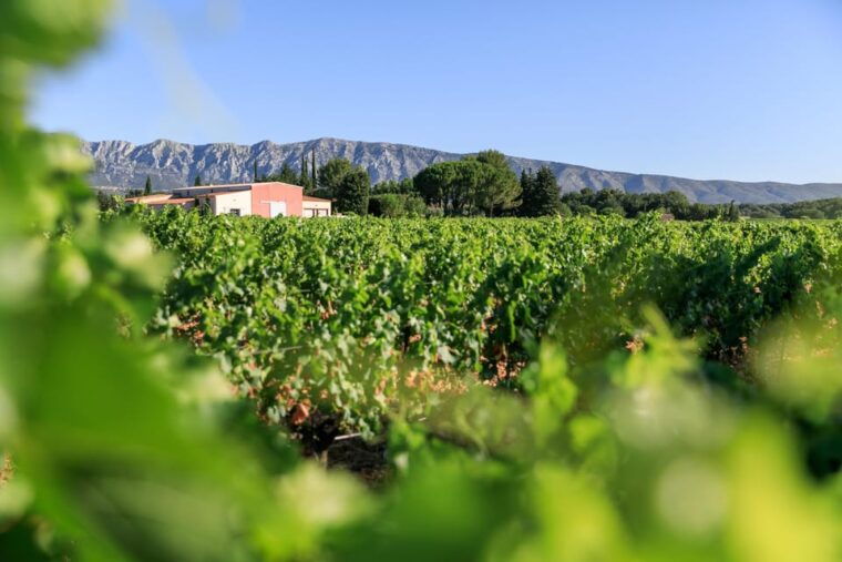 From Aix En Provence: Half-Day Wine Tour in Provence - Wineries and Wine Tastings