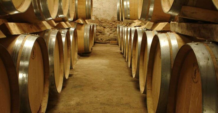From Aix En Provence: Half-Day Wine Tour in Provence - Experience Highlights