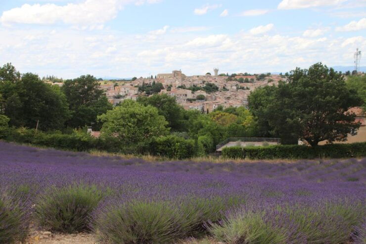 From Aix-En-Provence: Lavender Experience & Gorges Du Verdon - Verdon Gorge: A Breathtaking Natural Wonder