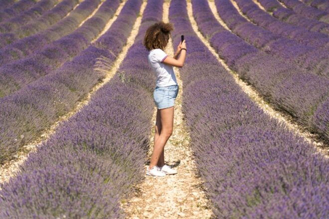 From Aix-en-Provence: Lavender Half Day Morning Tour - Customer Reviews