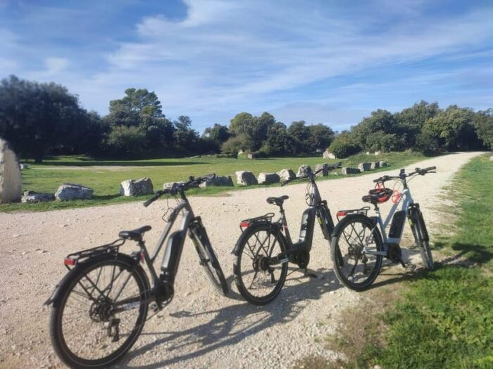 From Aix-En-Provence: Luberon Region E-Bike Full-Day Tour - Customer Reviews