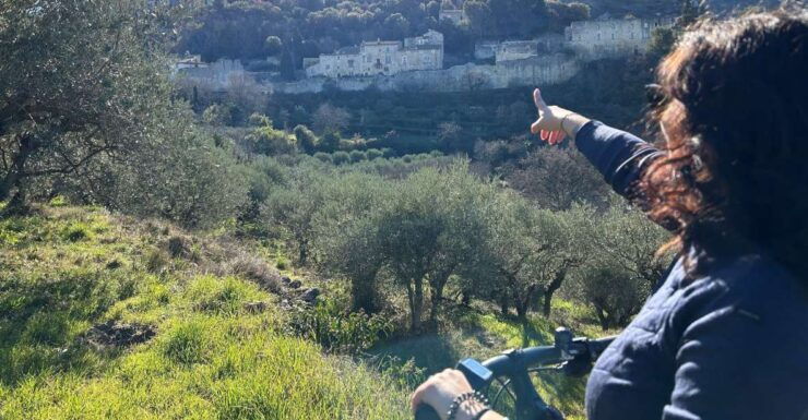 From Aix-en-Provence: Luberon Region E-Bike Full-Day Tour - Experience Highlights