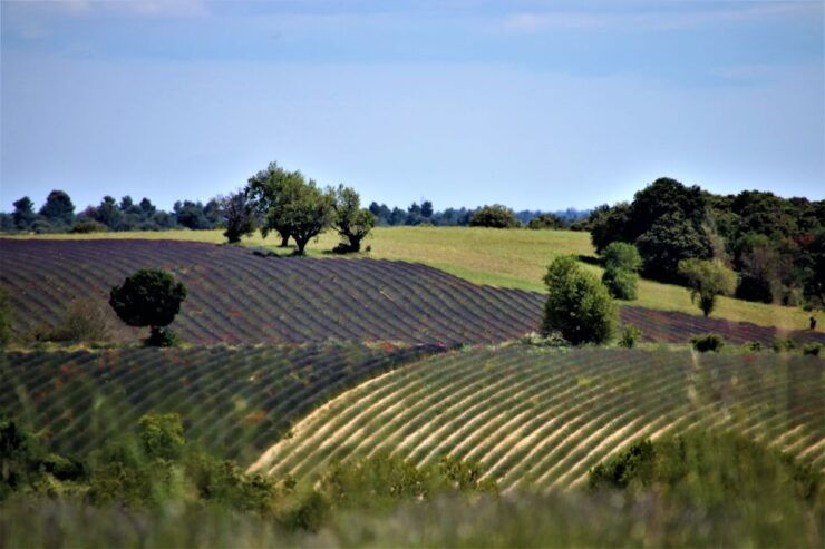 From Aix En Provence: Private Tour of Sault in Van - Gift Option