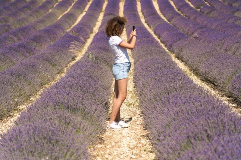 From Aix-en-Provence: Sault Lavender & Gordes Full-Day Tour - Itinerary Highlights