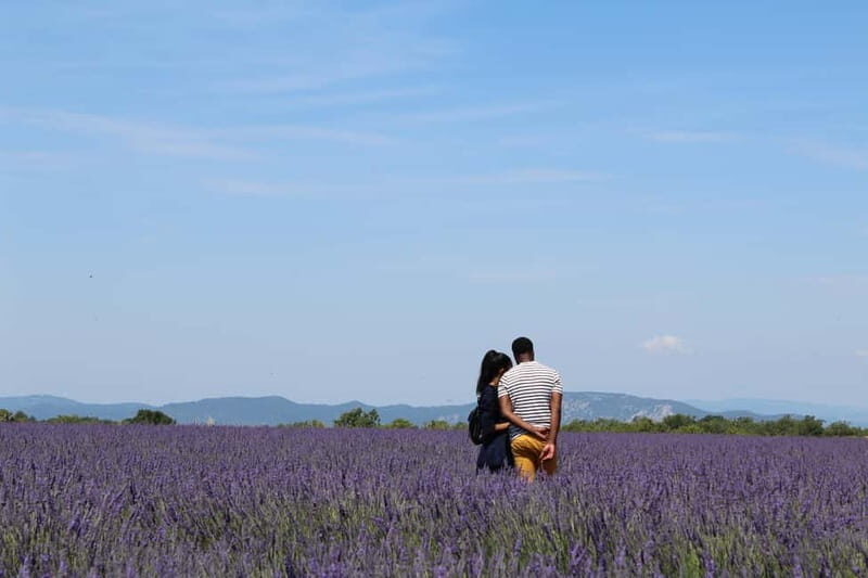From Aix-en-Provence : Sunset Lavender Tour in Valensole - Good To Know