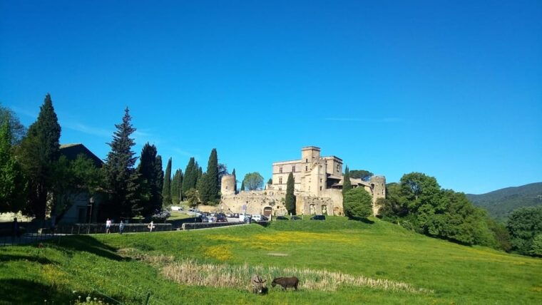 From Aix-En-Provence: Wine & Luberon Villages Full-Day Tour - Customer Reviews and Ratings