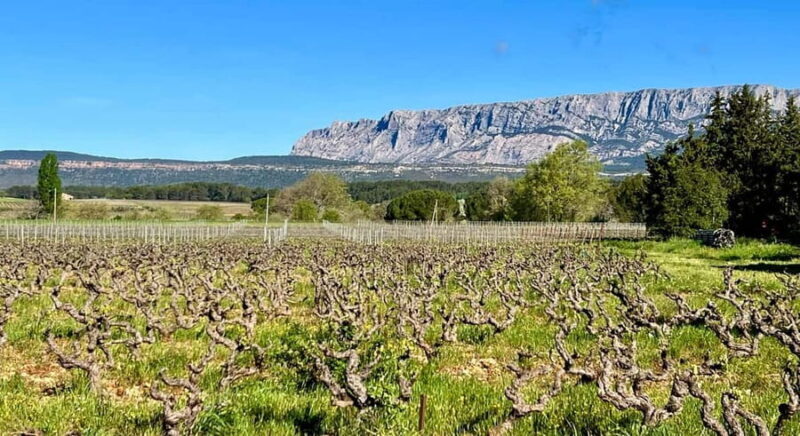 From Aix-en-Provence: Wine Tasting at Sainte-Victoire - An Overview of the Tour