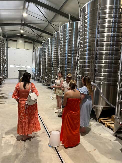 From Aix-en-Provence: Wine Tasting at Sainte-Victoire - What to Expect During the Experience