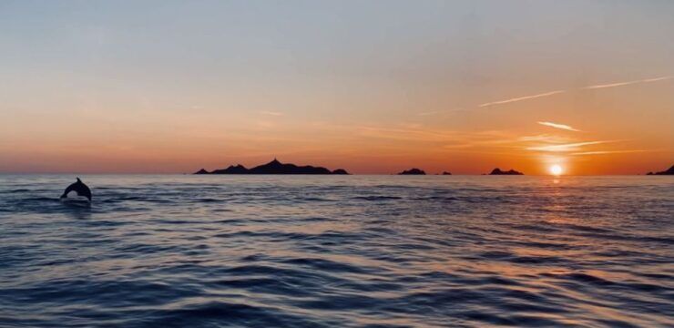 From Ajaccio or Porticcio: Sanguinaires Islands Sunset Tour - Small Group Experience and Stopover