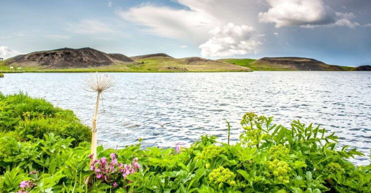 From Akureyri: Lake Mývatn Guided Tour With Lunch - Tour Highlights and Itinerary