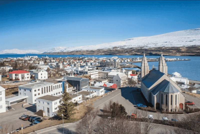 From Akureyri Port: Godafoss Waterfall & Forest Lagoon tour - What to Expect and Practical Tips