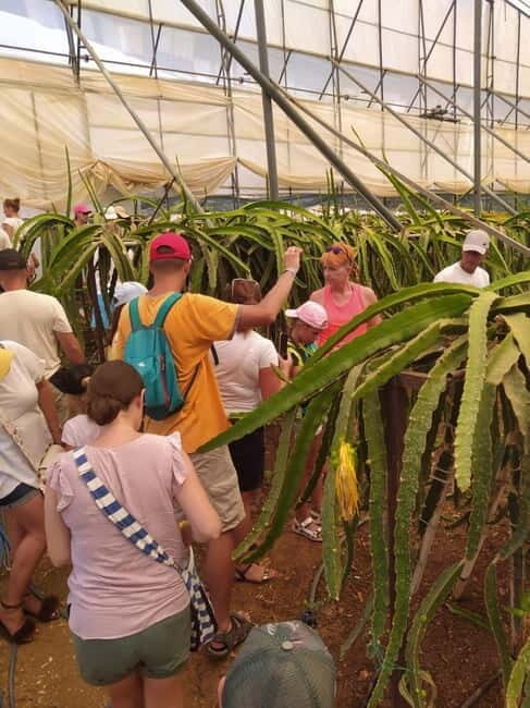 From Alanya: Gazipa Hole Sea and King's Bay Tour - Final Thoughts