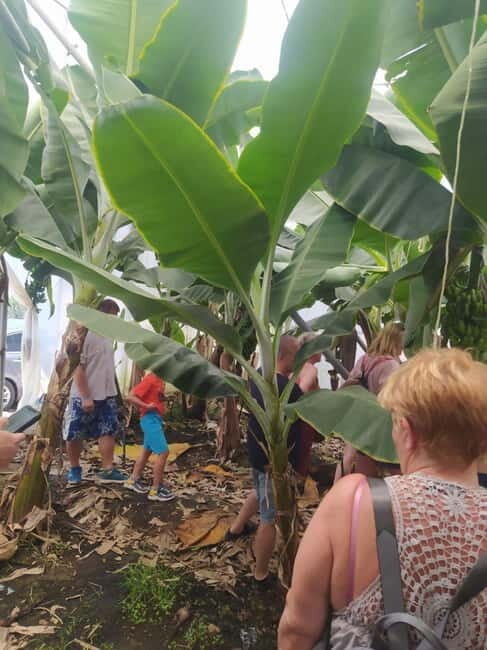 From Alanya: Gazipa Hole Sea and King's Bay Tour - FAQ