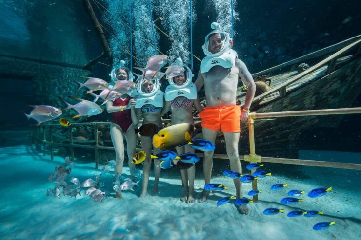 From Alanya: Round-Trip Land of Legends Theme Park Transfers - Experience Highlights