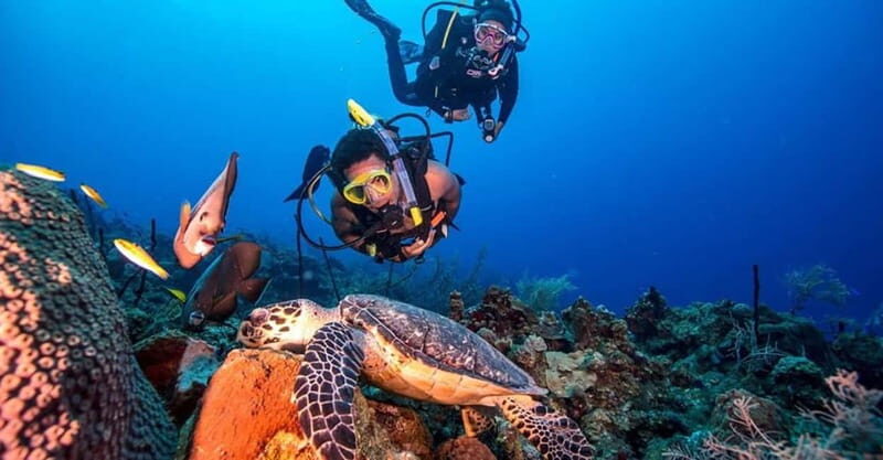 From Alanya: Scuba Diving Tour with Hotel Transfers - An In-Depth Look at the Tour Experience